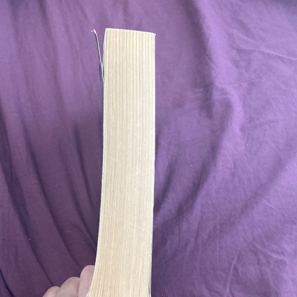 'The Storyteller' Novel - Black Cover - Picture 4 of 4